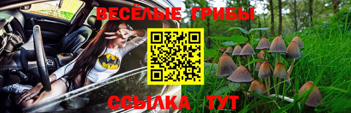 Псилоцибиновые грибы MAGIC MUSHROOMS  Псилоцибиновые грибы Cubensis  Минеральные Воды  Вход с VPN 